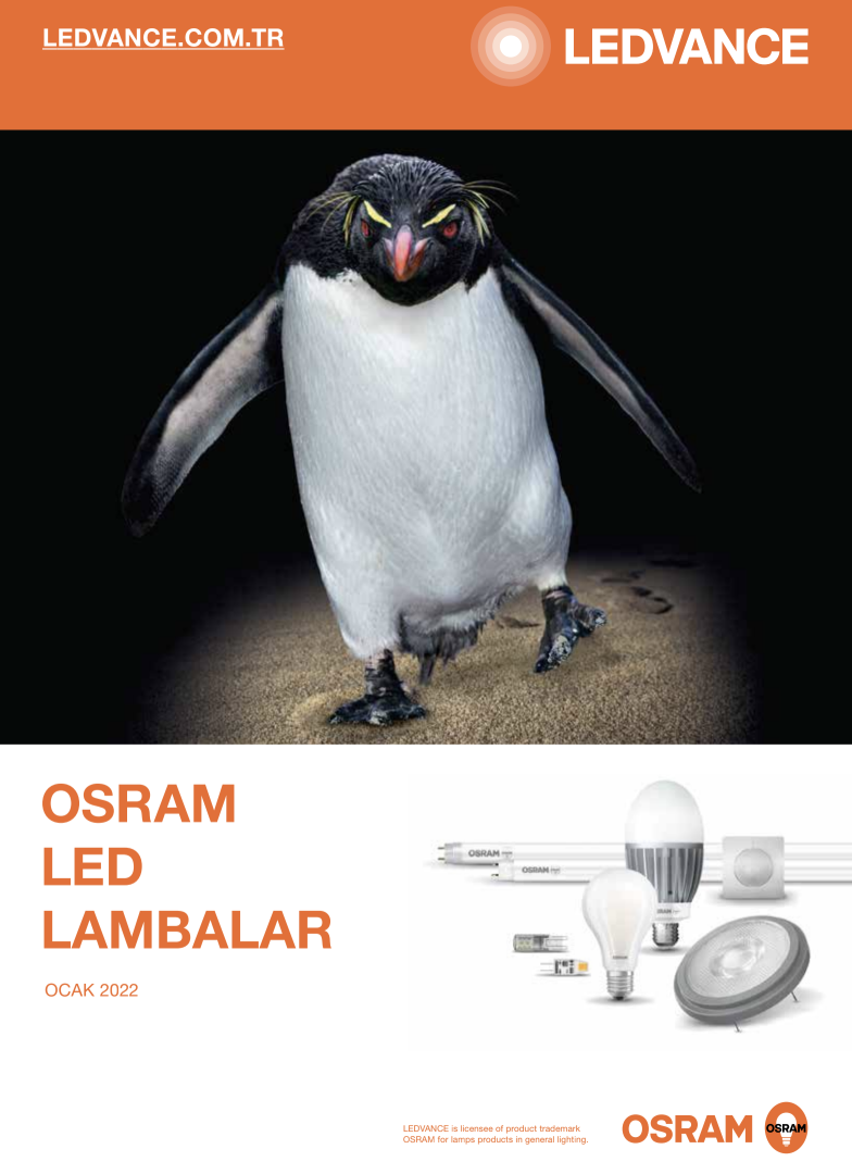 Ledvance Fiyat Listesi 2022